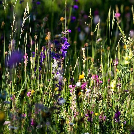 Ferienraum Pfunds Διαμέρισμα Εξωτερικό φωτογραφία
